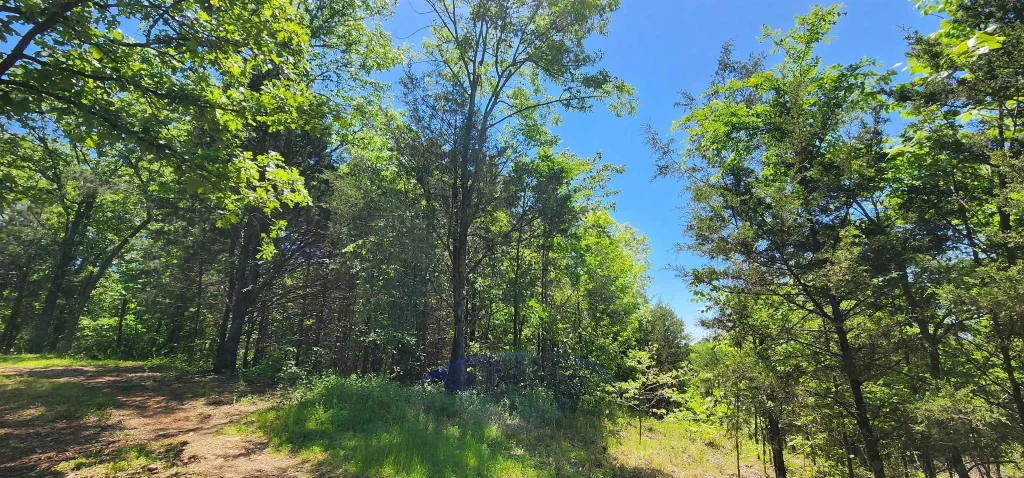 Tbd S Frankfurt Avenue, Russellville