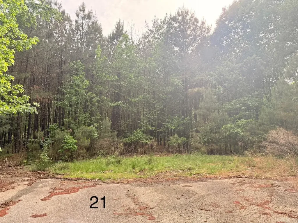 Spruce Cove (lot 21), Monticello