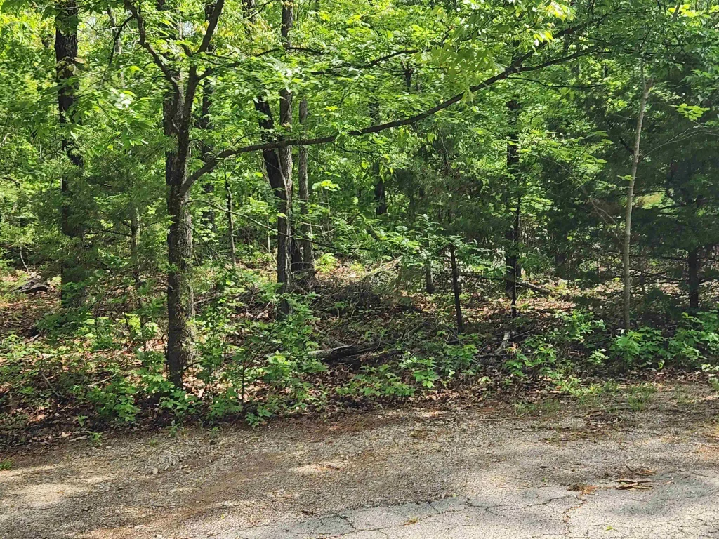 Paiute Drive, Cherokee Village