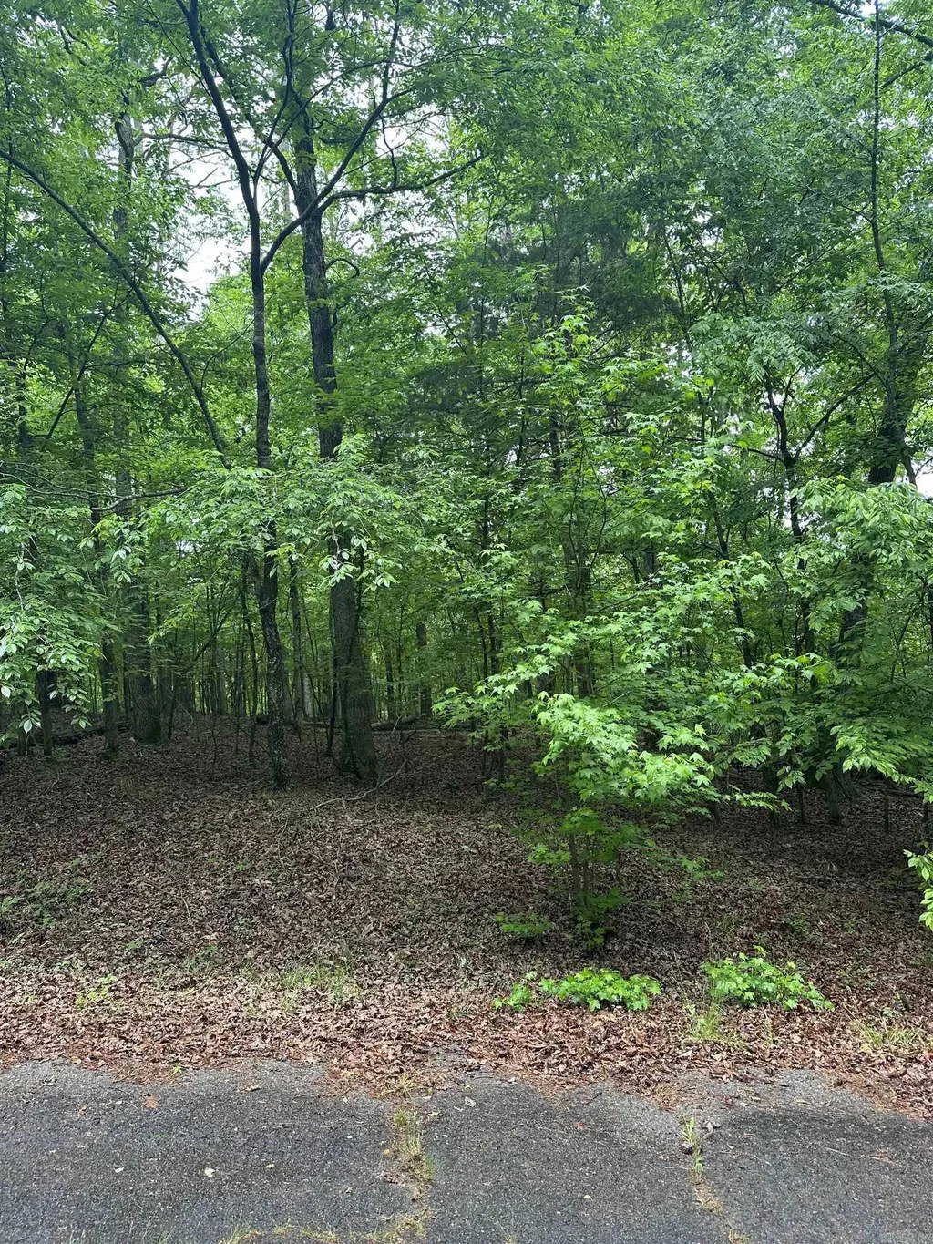 Lot 2 Vestonero Way, Hot Springs Village