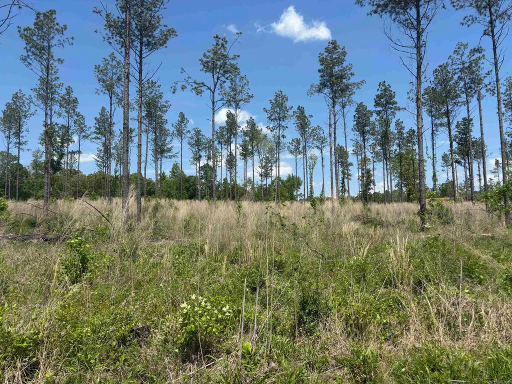 0 Grant 433, Sheridan