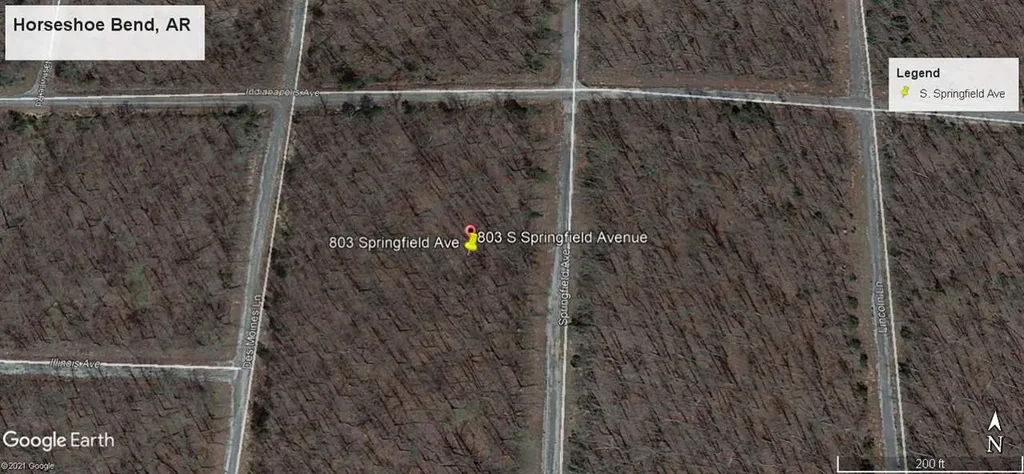 803 S Springfield Avenue, Horseshoe Bend