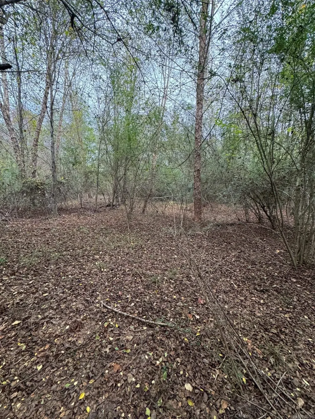 Tbd Grant 64, Sheridan