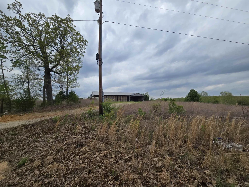 Moonlight Road, Mammoth Spring