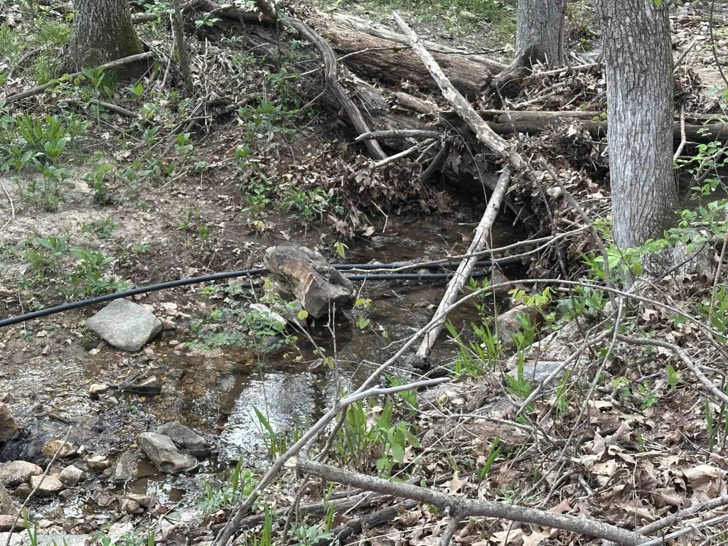 188 Oregon Trail, Pyatt