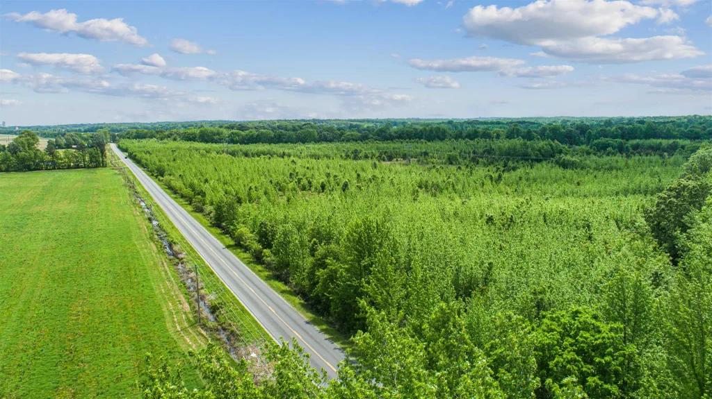 67.78 Acres Cr 114, Jonesboro