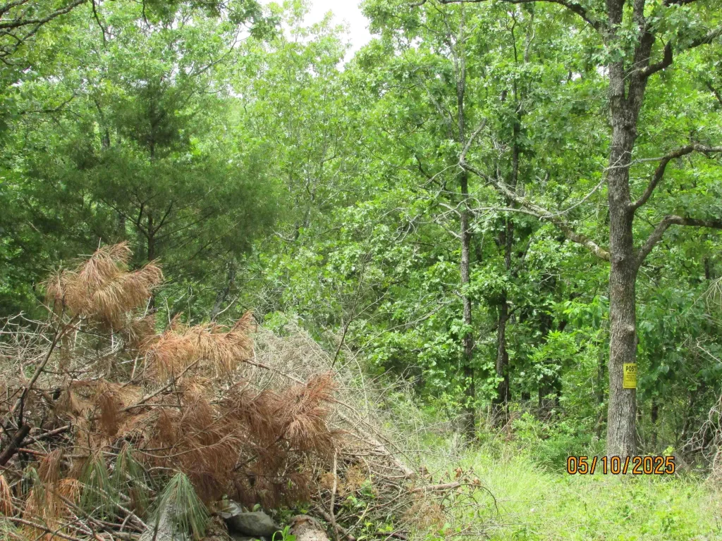 0 Larkspur/mcgill Rd, Cabot