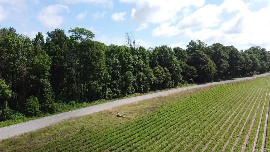 000 Gibb Anderson, Pine Bluff