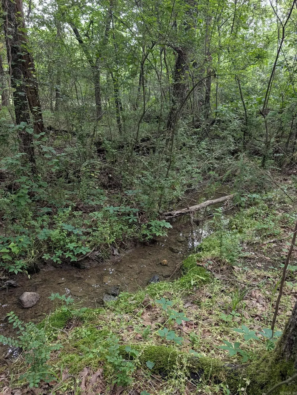 42 San Pablo Way, Hot Springs Village