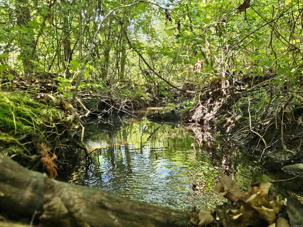 169 Cedar Creek Road, Marshall