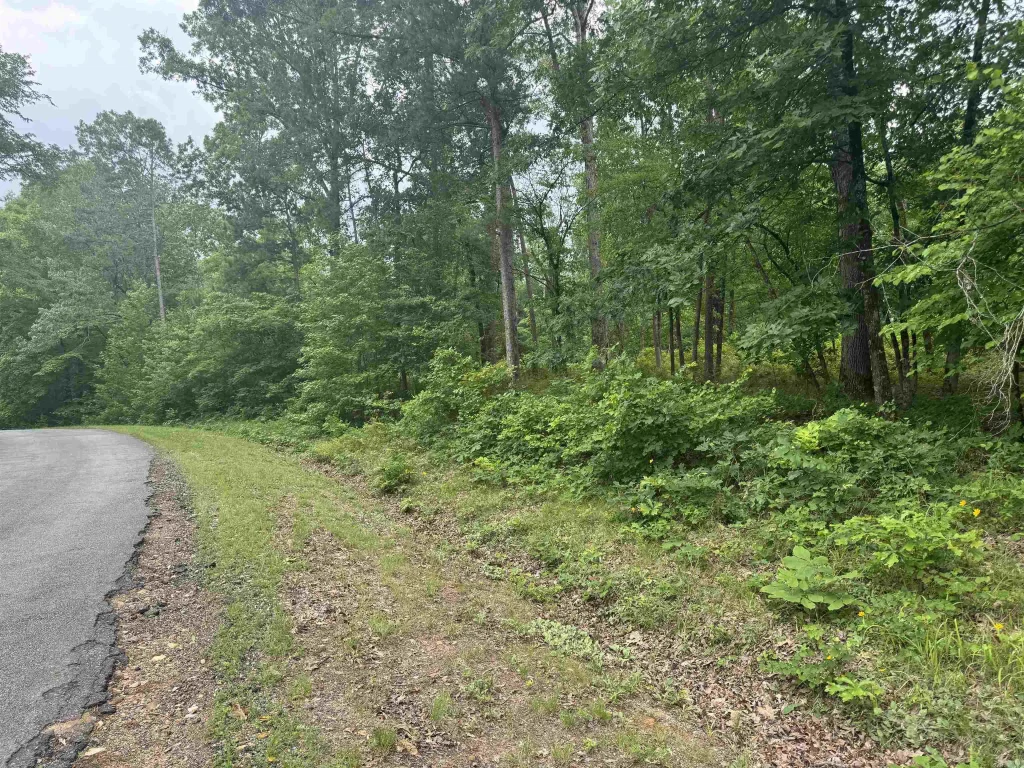 Lot 3251 Ohio Drive, Hot Springs