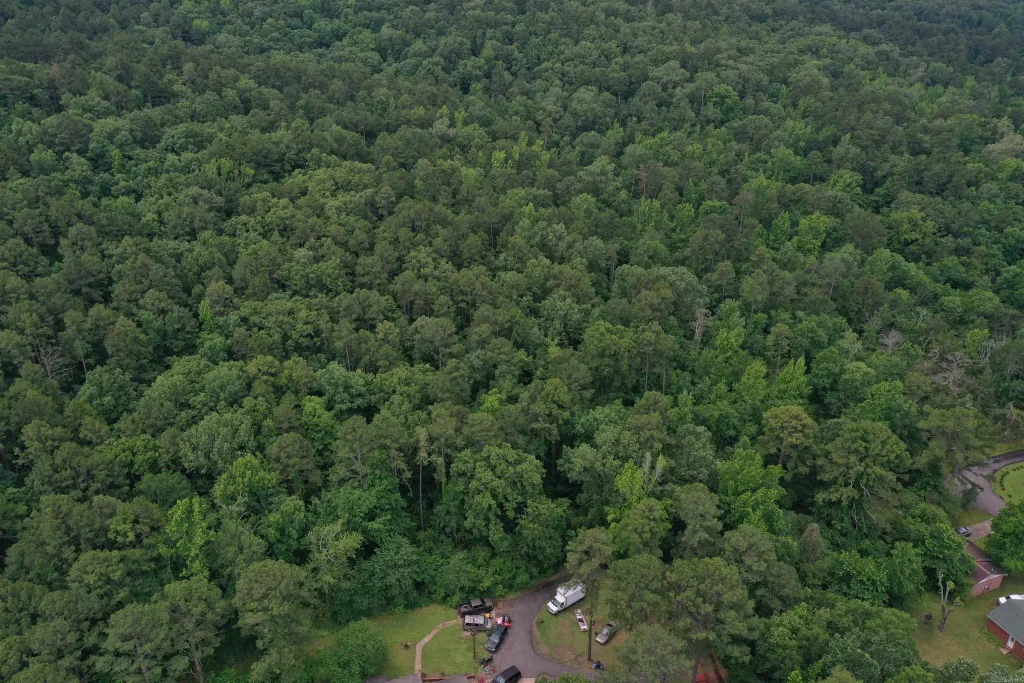 0000 K Street, Danville