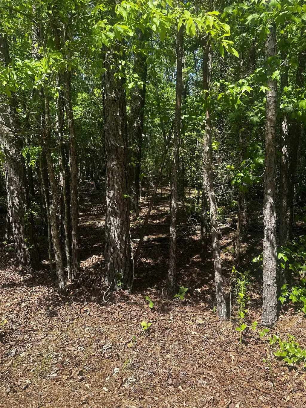 23 Andorra Circle, Hot Springs Village