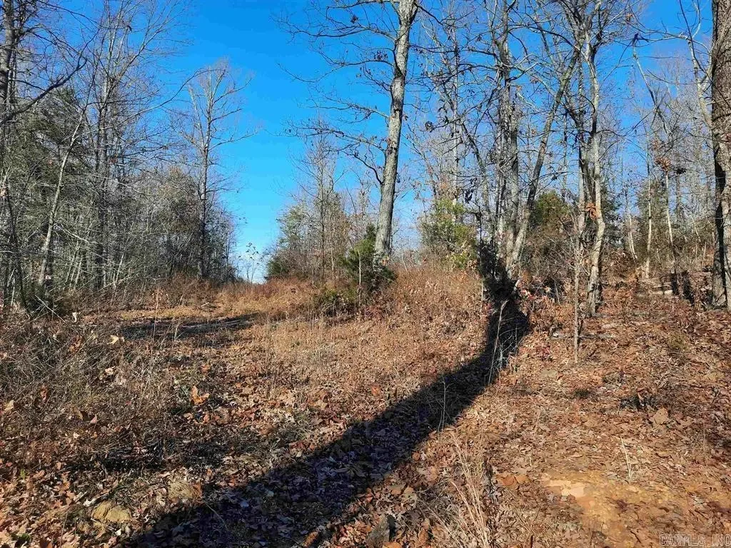 00 Wildhaven Road, Mountain View