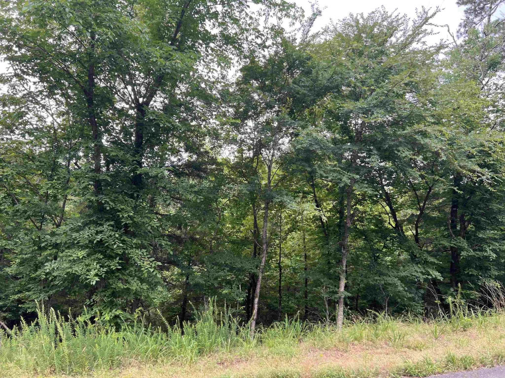 114 Pamplona Way, Hot Springs Village