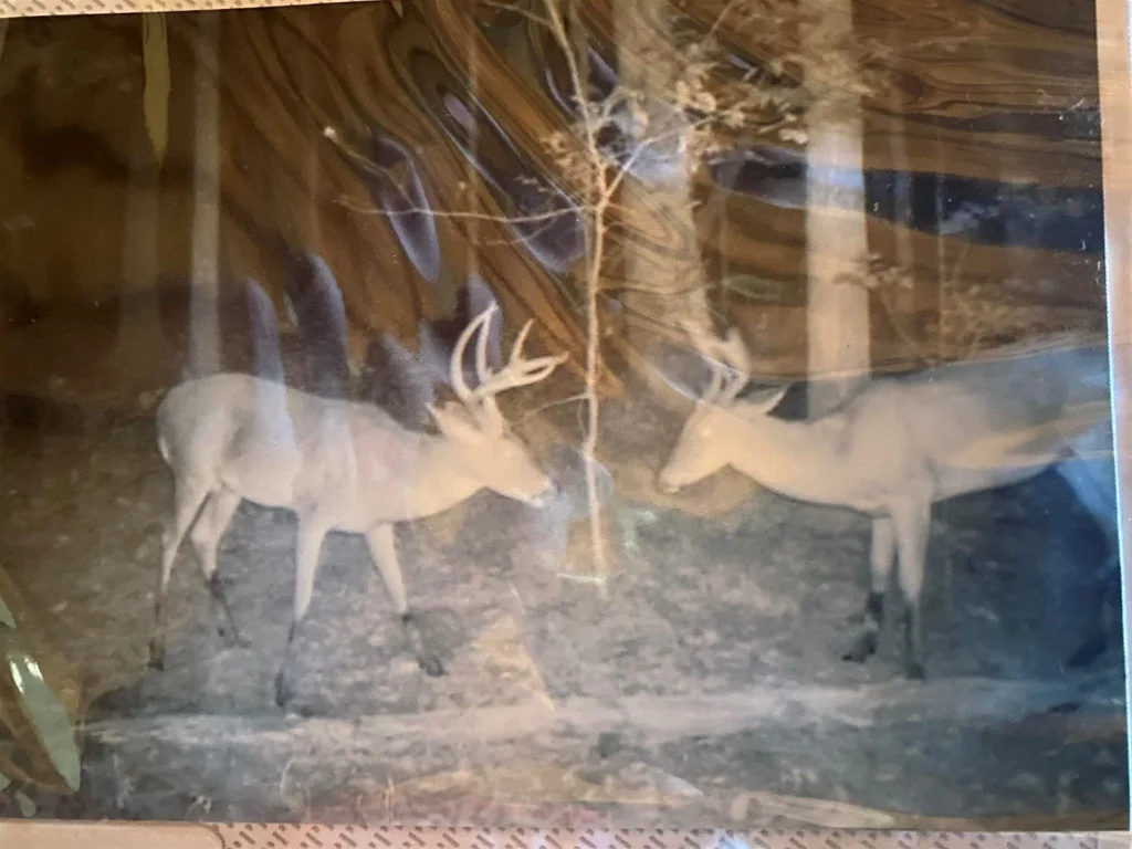 2933 Highway 163, Cherry Valley