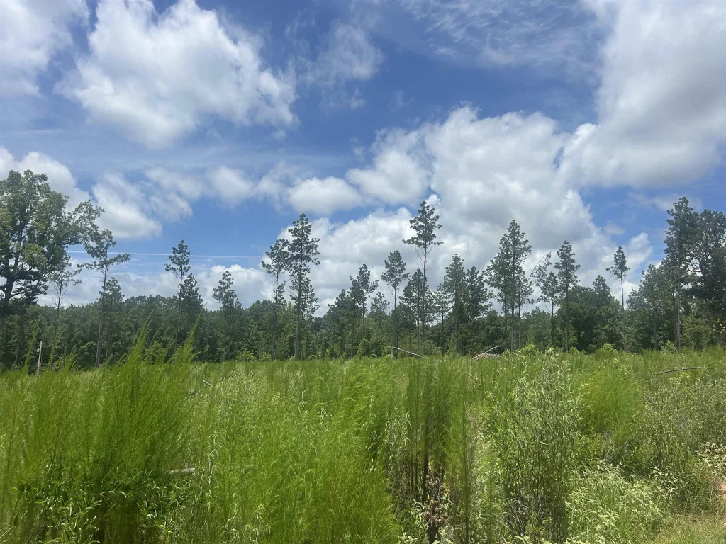 0 Grant 433, Sheridan