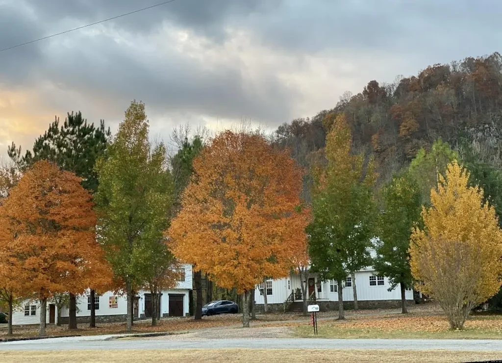 1040/1056 S Riverview, Mountain View