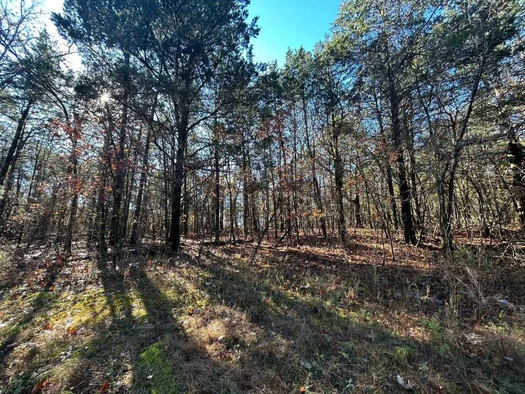 20 Acres Persimmon Point Road, Lead Hill