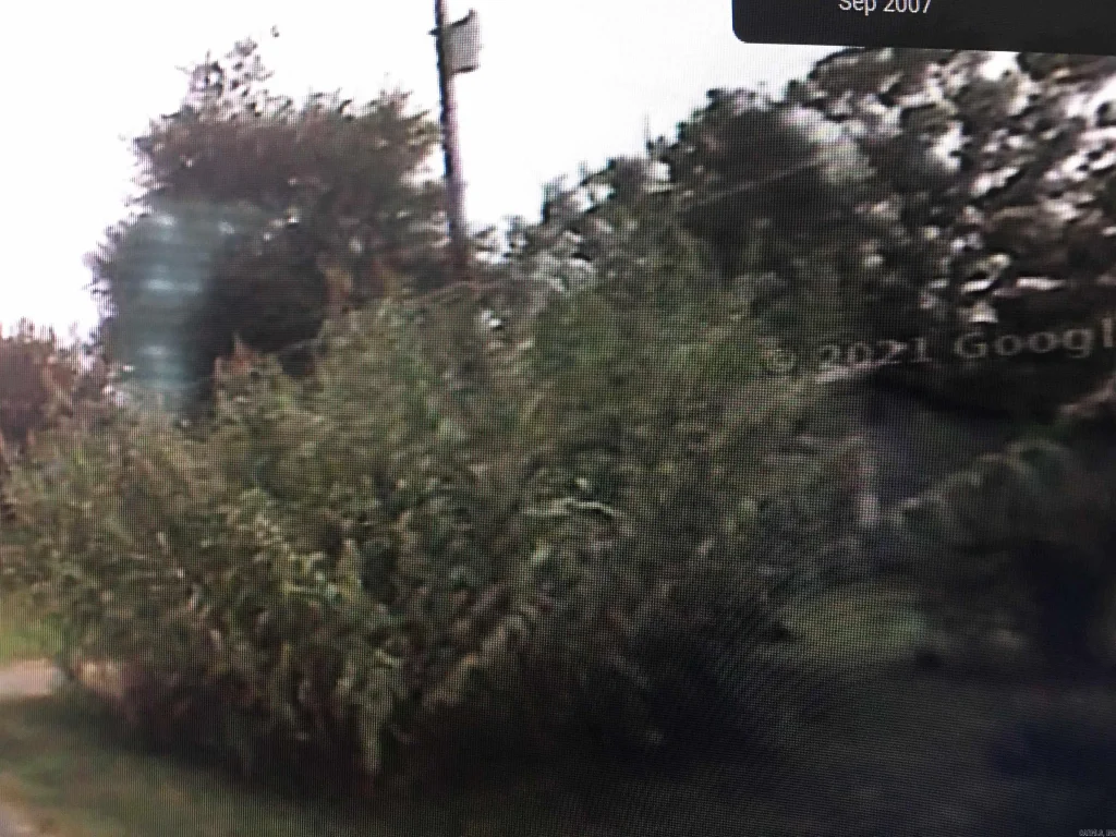 4418 Lena Lane, Jacksonville