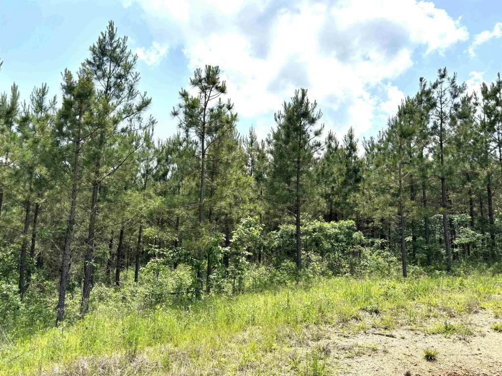 Lot 27 Grant County Road 763, Sheridan