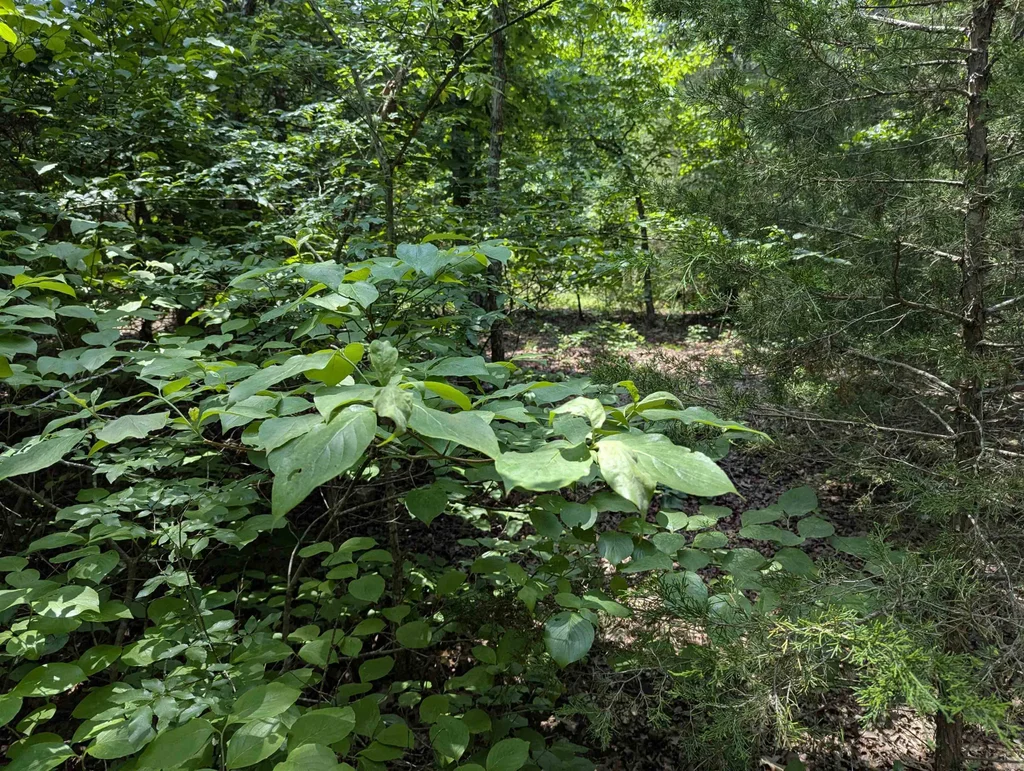 Tbd Ridgewood Lane, Salem