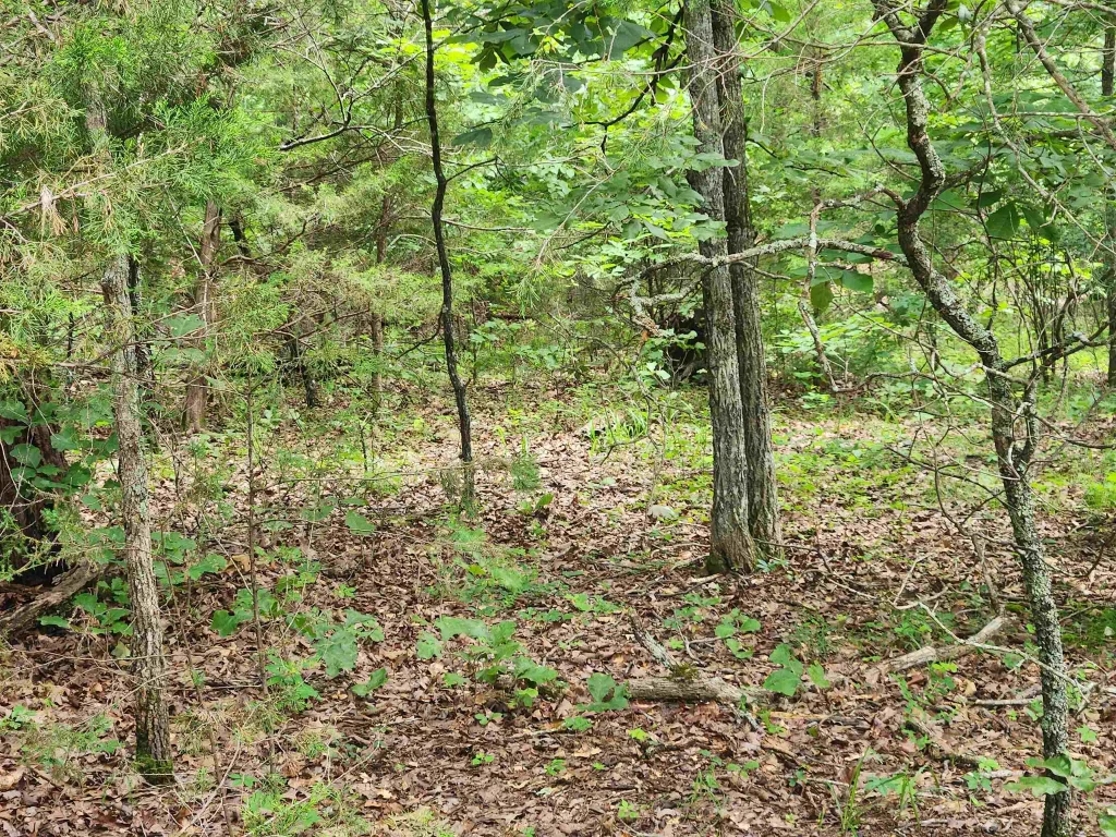 L21b1 Coyotero Trace, Cherokee Village