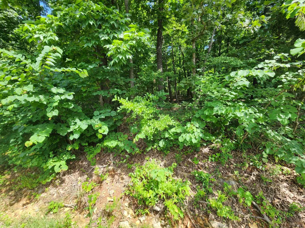 L37b12 N Lakeshore Circle, Cherokee Village