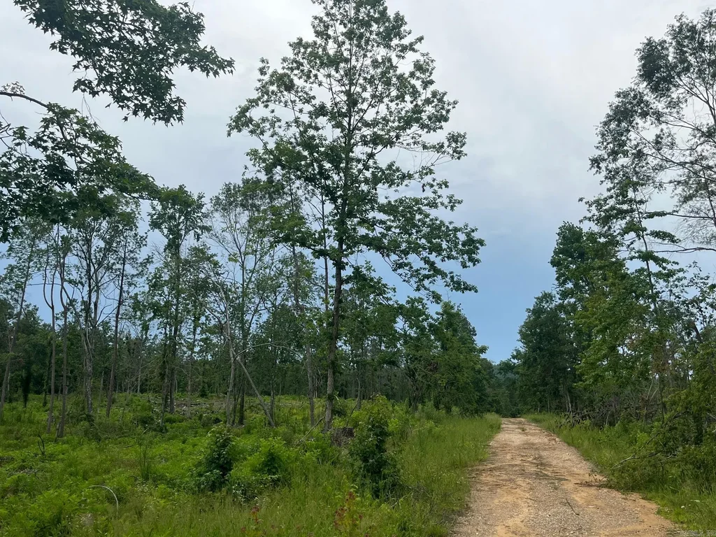 Tbd Hwy 84, Bismarck