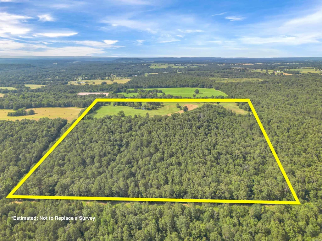 00 Sammy's Drive, Springfield