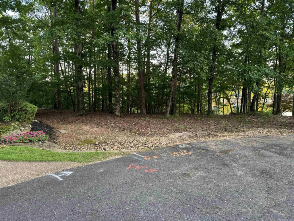 6 Sacedon Circle, Hot Springs Village