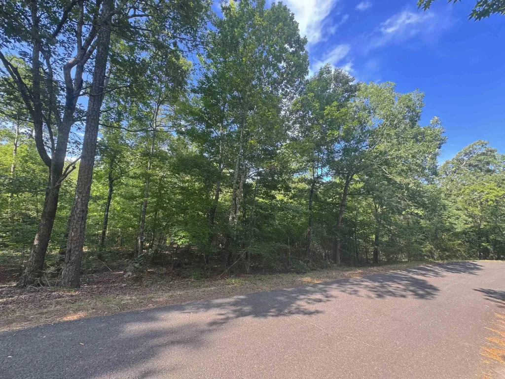 30 Villacarriedo Circle, Hot Springs Village