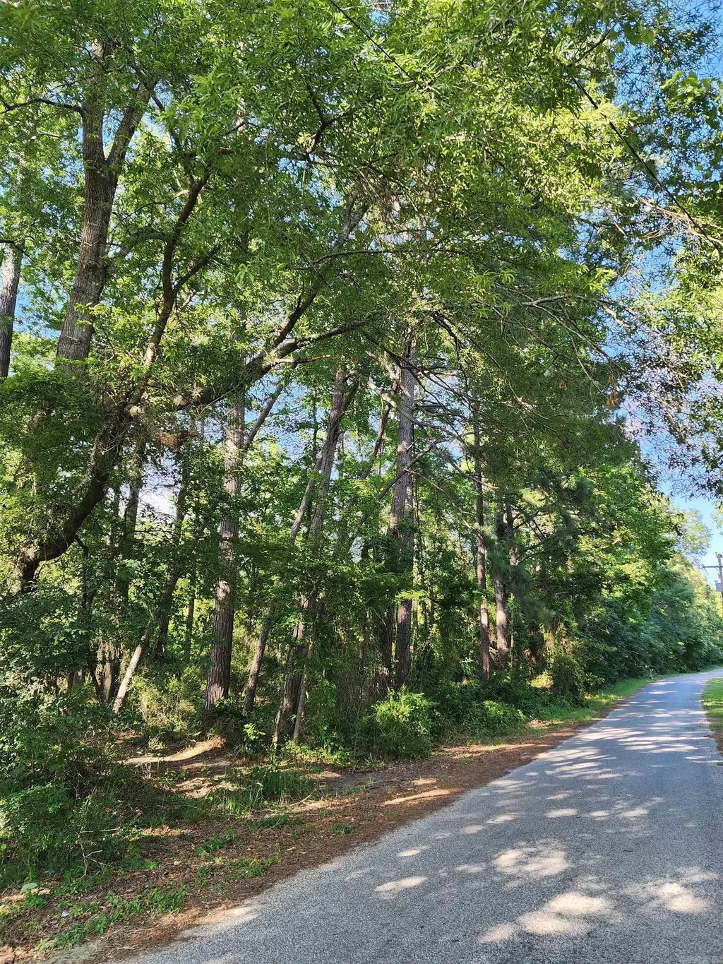 000 Shannon Dr, Leola