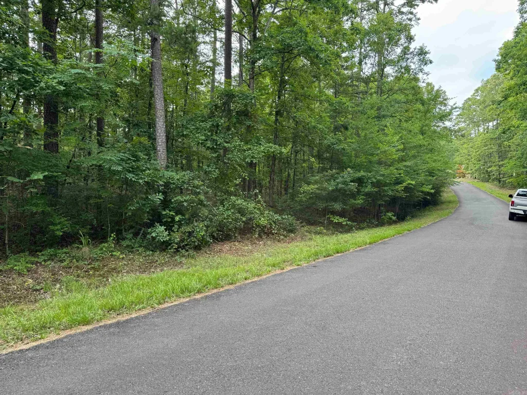 43 Reclamo Circle, Hot Springs Village