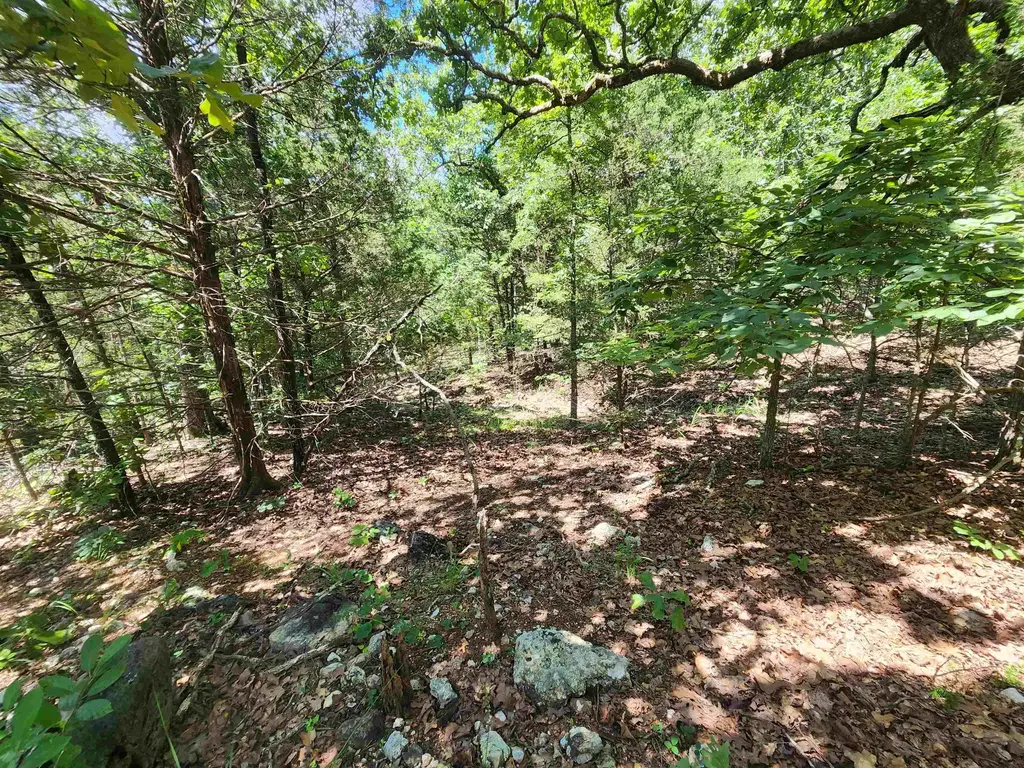 L35b2 Black Cloud Circle, Cherokee Village