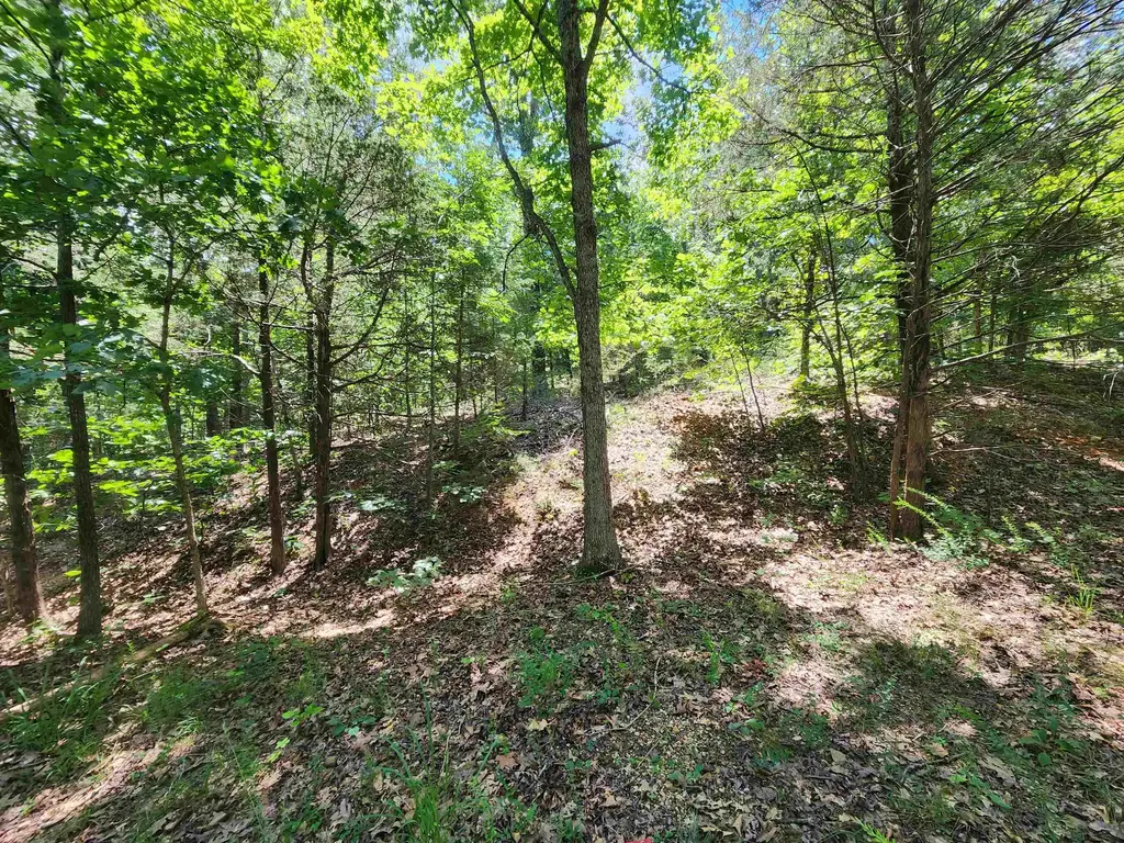 L10b9 Quarez, Cherokee Village