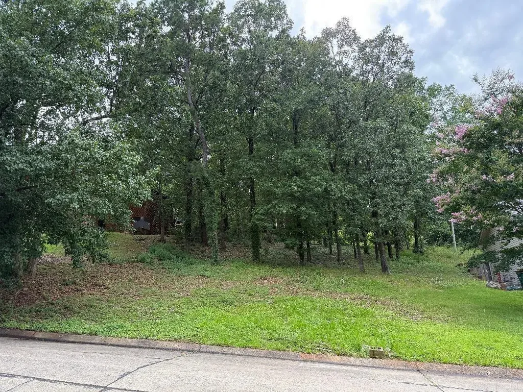 13800 Longtree Dr, Little Rock