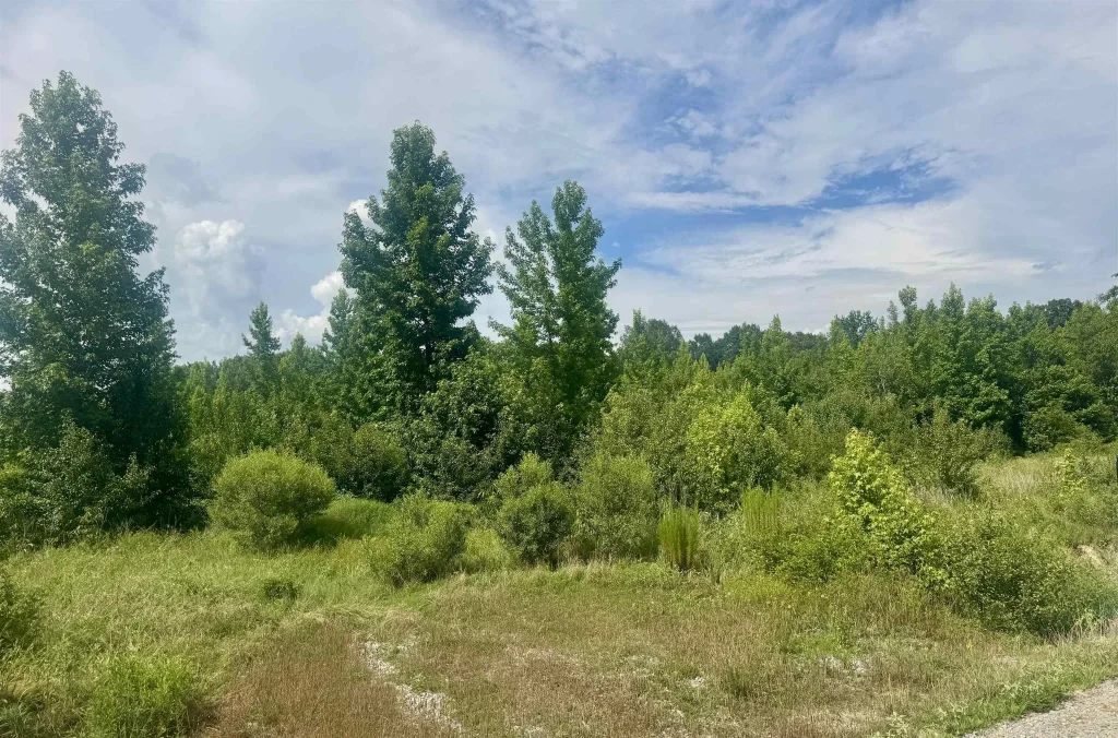 238 Lloyd Henderson Road, Beebe