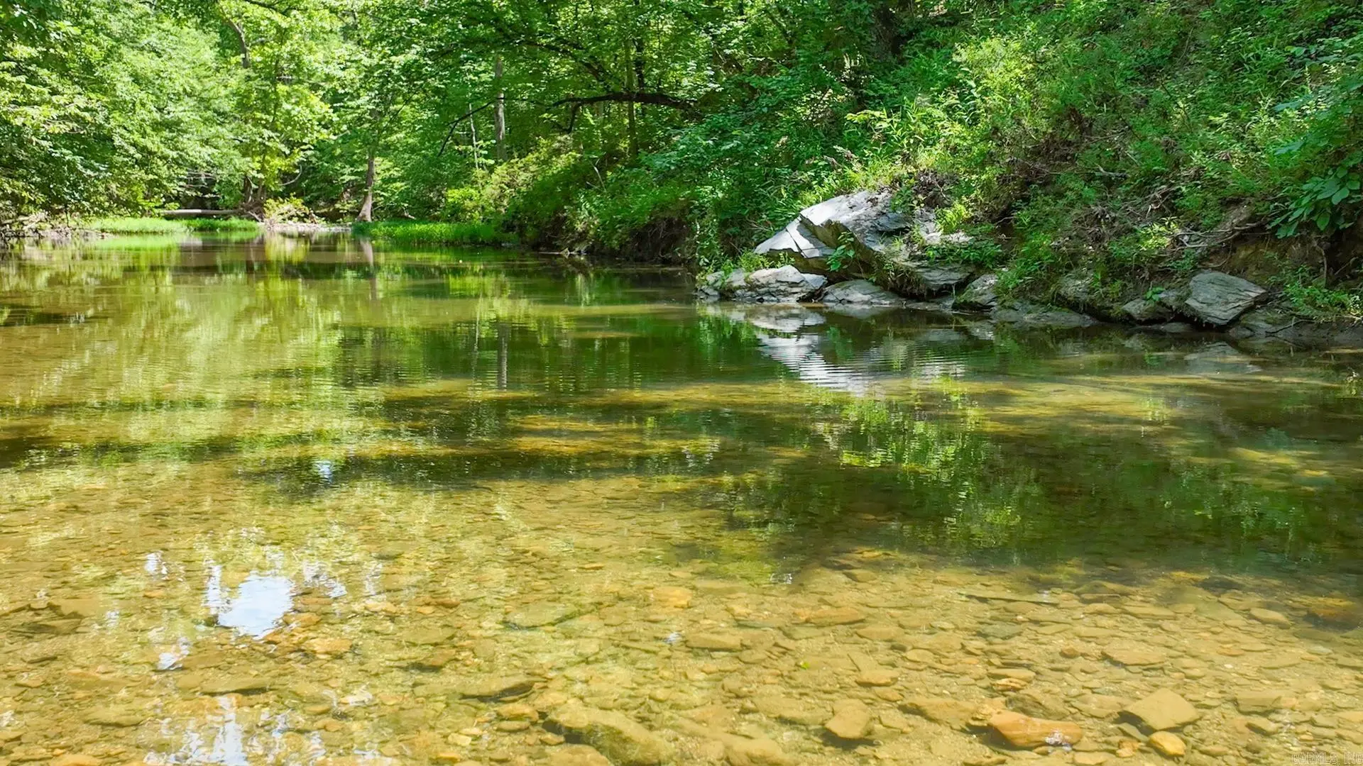 454 Clubhill, Jessieville