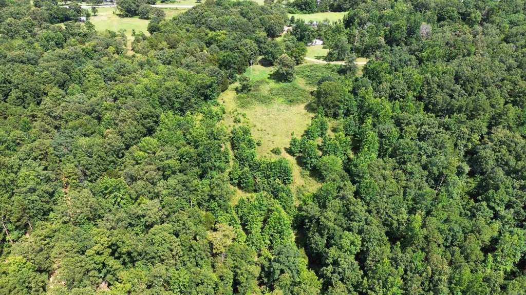 Fisher Road, Melbourne