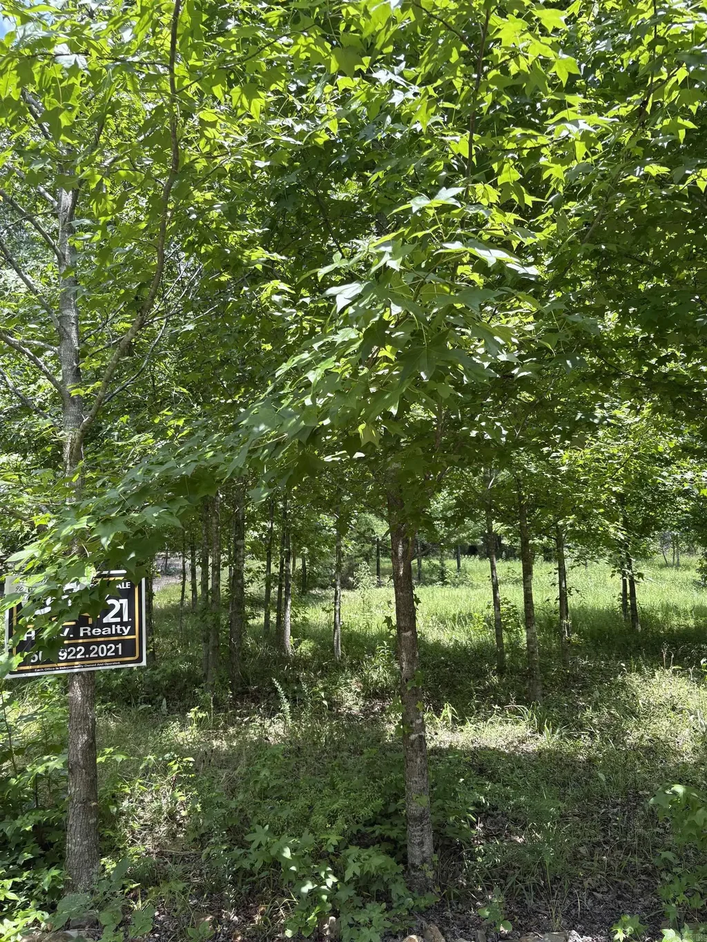 3 Ballobar Circle, Hot Springs Village