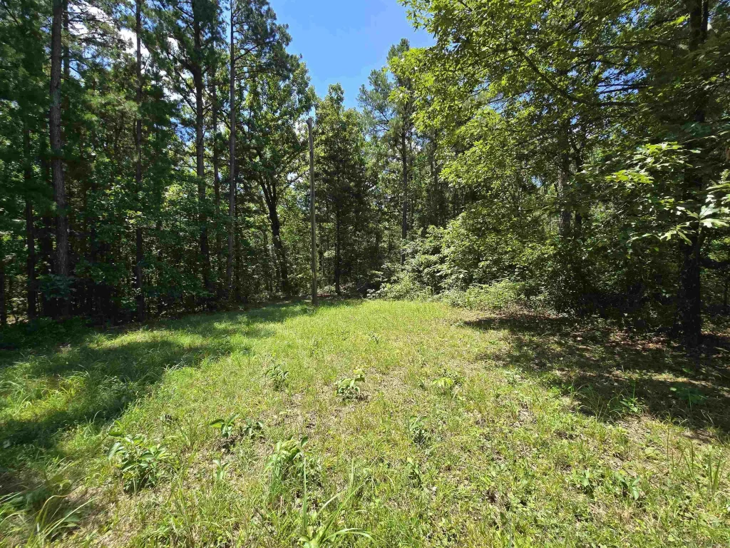 000 The New Road, Shirley