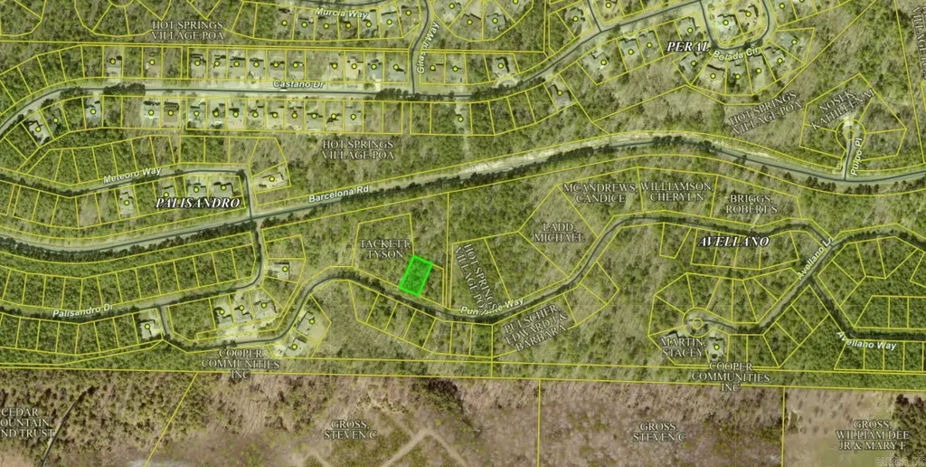 Punzante Way, Hot Springs Village