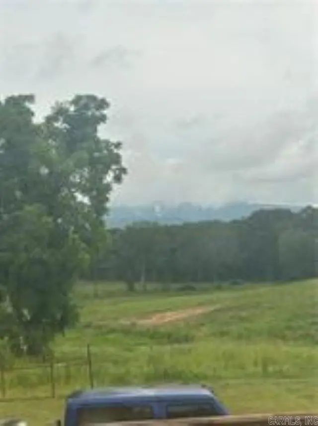 10108 Blevins Hill, Dardanelle