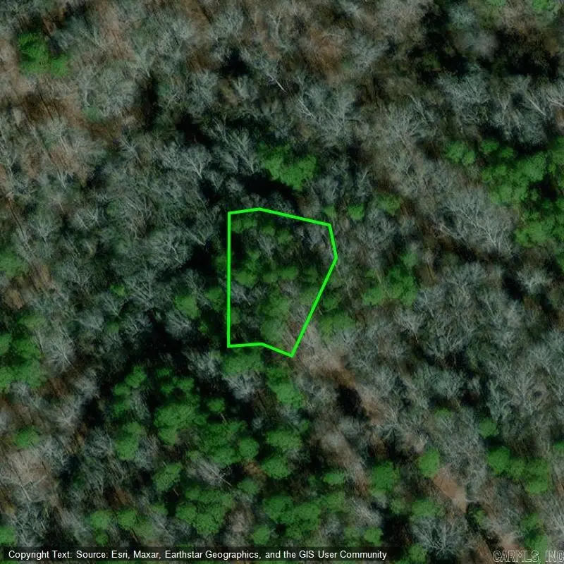 Lot 10 Block 7 Segador Way, Hot Springs Village