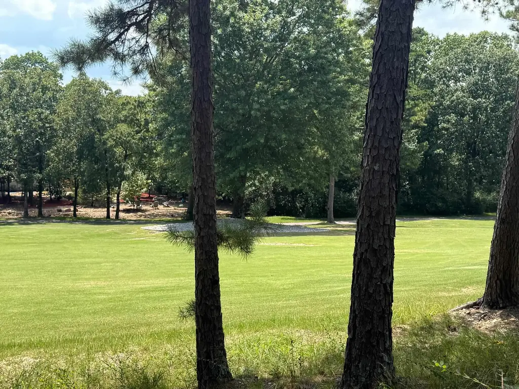 14 Versalles Lane, Hot Springs Village