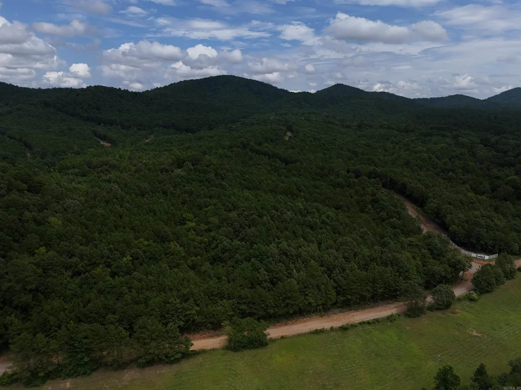 Lot 2 Polk Road 78, Mena