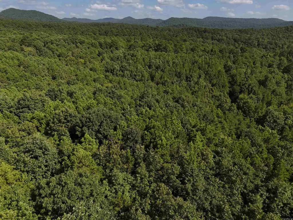 Lot 7 Polk Road 78, Mena