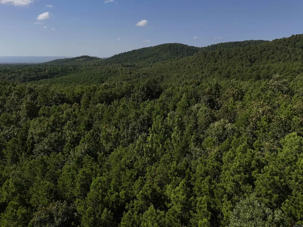 Lot 8 Polk Road 78, Mena