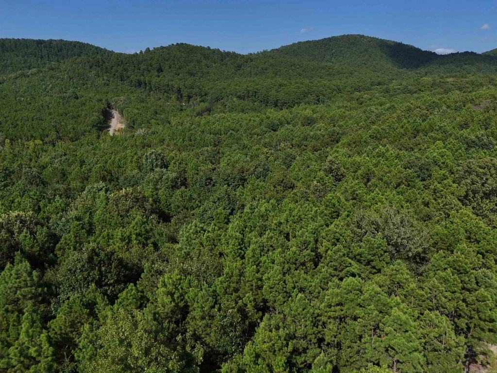 Lot 10 Polk Road 78, Mena